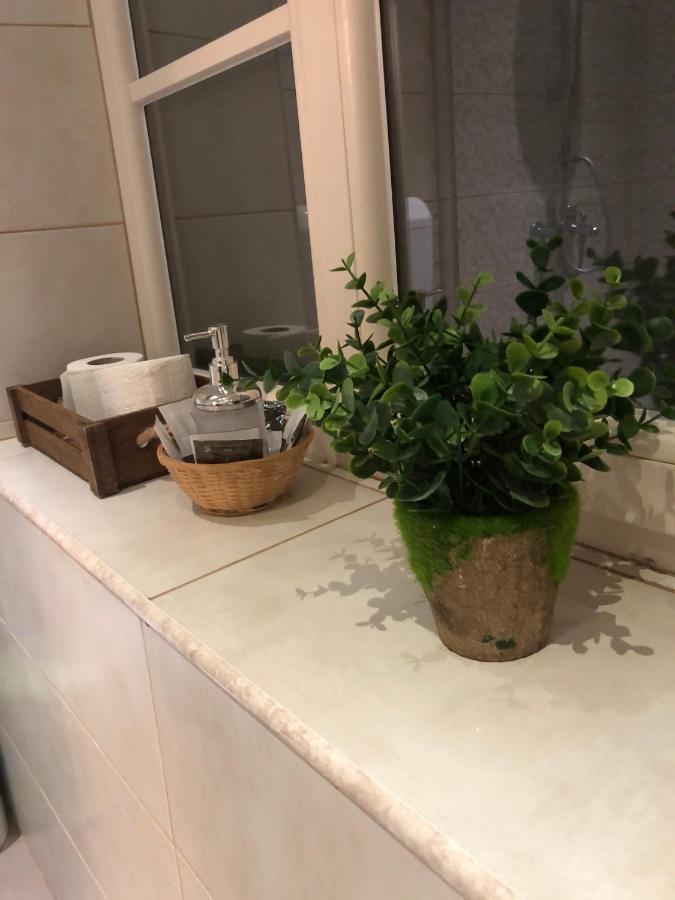 Cozy Central Apartment 브라쇼브 외부 사진